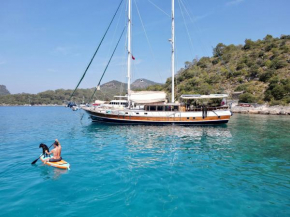 Hayat Bu, Boot